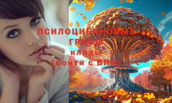 PSILOCYBIN Нефтекумск
