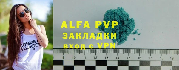 молекула духа Надым