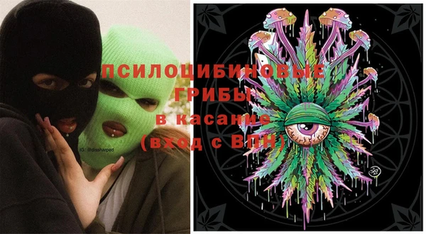молекула духа Надым