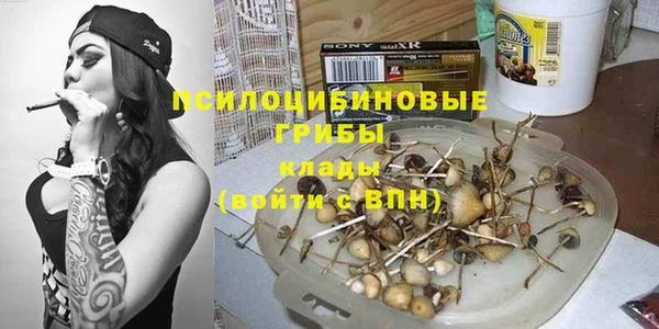 PSILOCYBIN Нефтекумск
