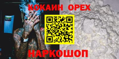 тгк Бийск