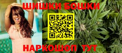 тгк Бийск