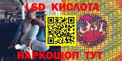 шишки Беслан