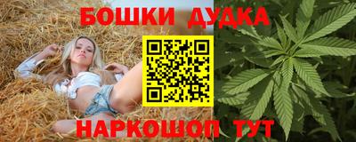 тгк Бийск