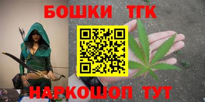 тгк Бийск