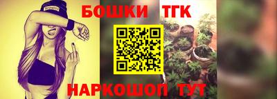 тгк Бийск