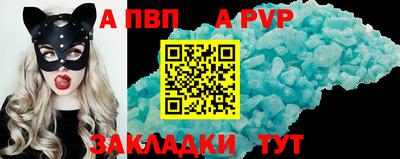 тгк Бийск