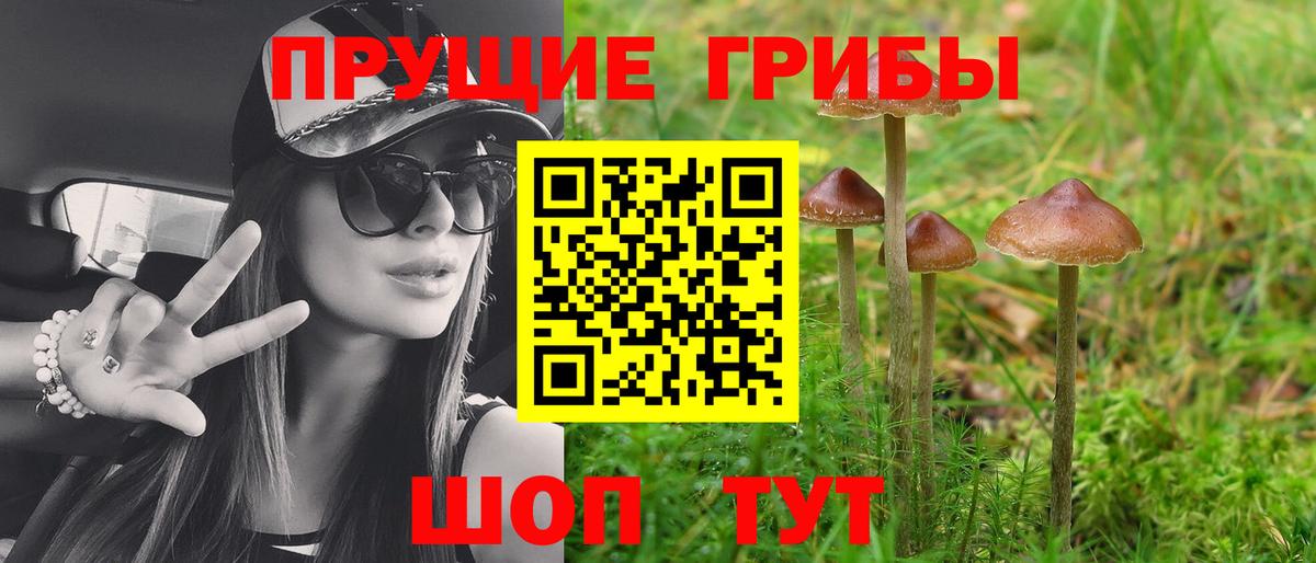 Псилоцибиновые грибы мицелий  Вход с VPN  Волжский 