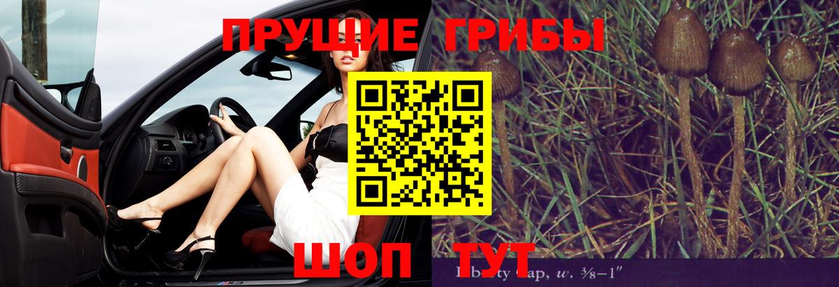 Галлюциногенные грибы MAGIC MUSHROOMS Волжский